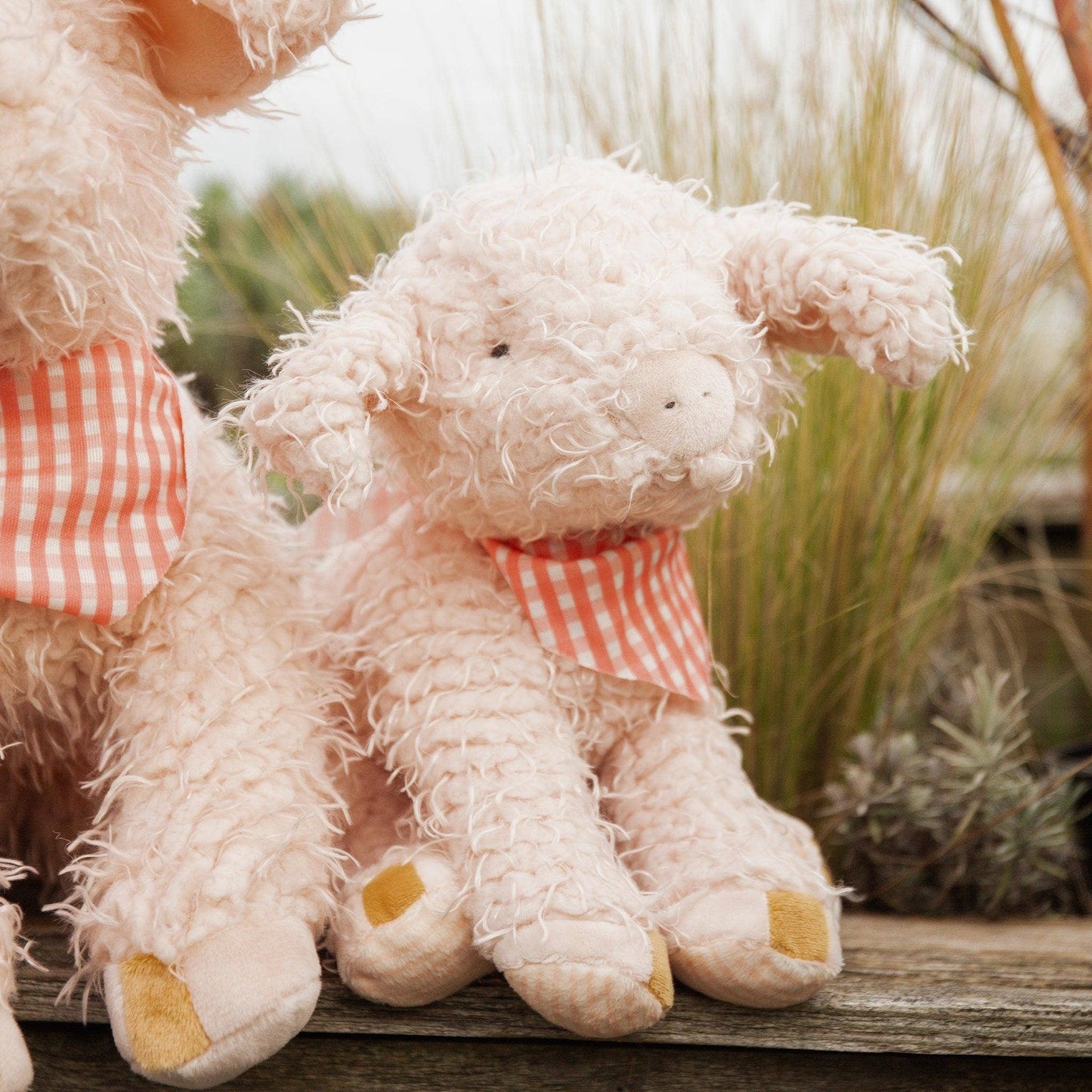 Hammie the Pig Bunnies By the Bay