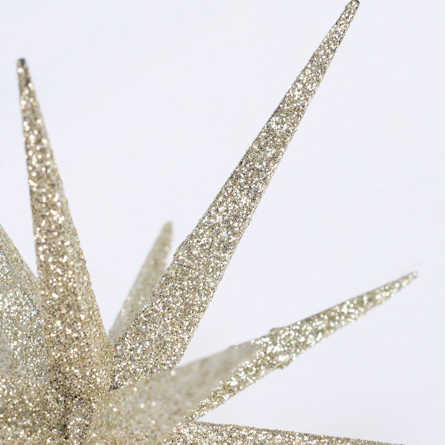 Champagne Star Ornament Lg