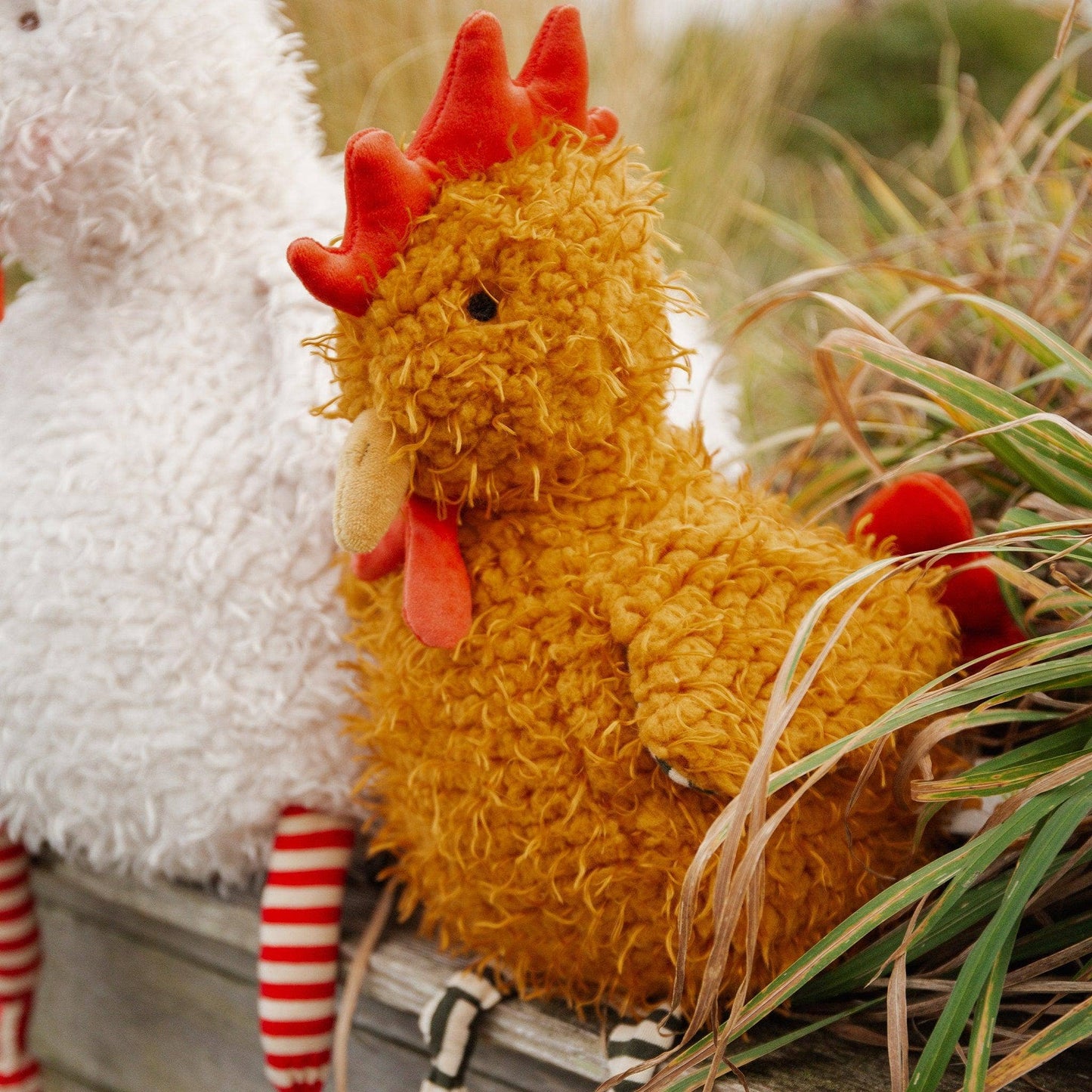 Randy The Rooster - Bunnies By the Bay