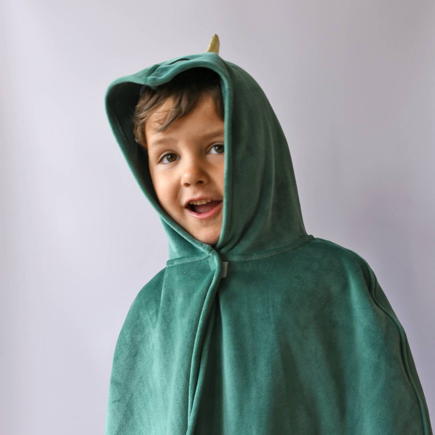 Dinosaur Dress Up Velvet Cape 3-10 Years - Rockahula Kids US
