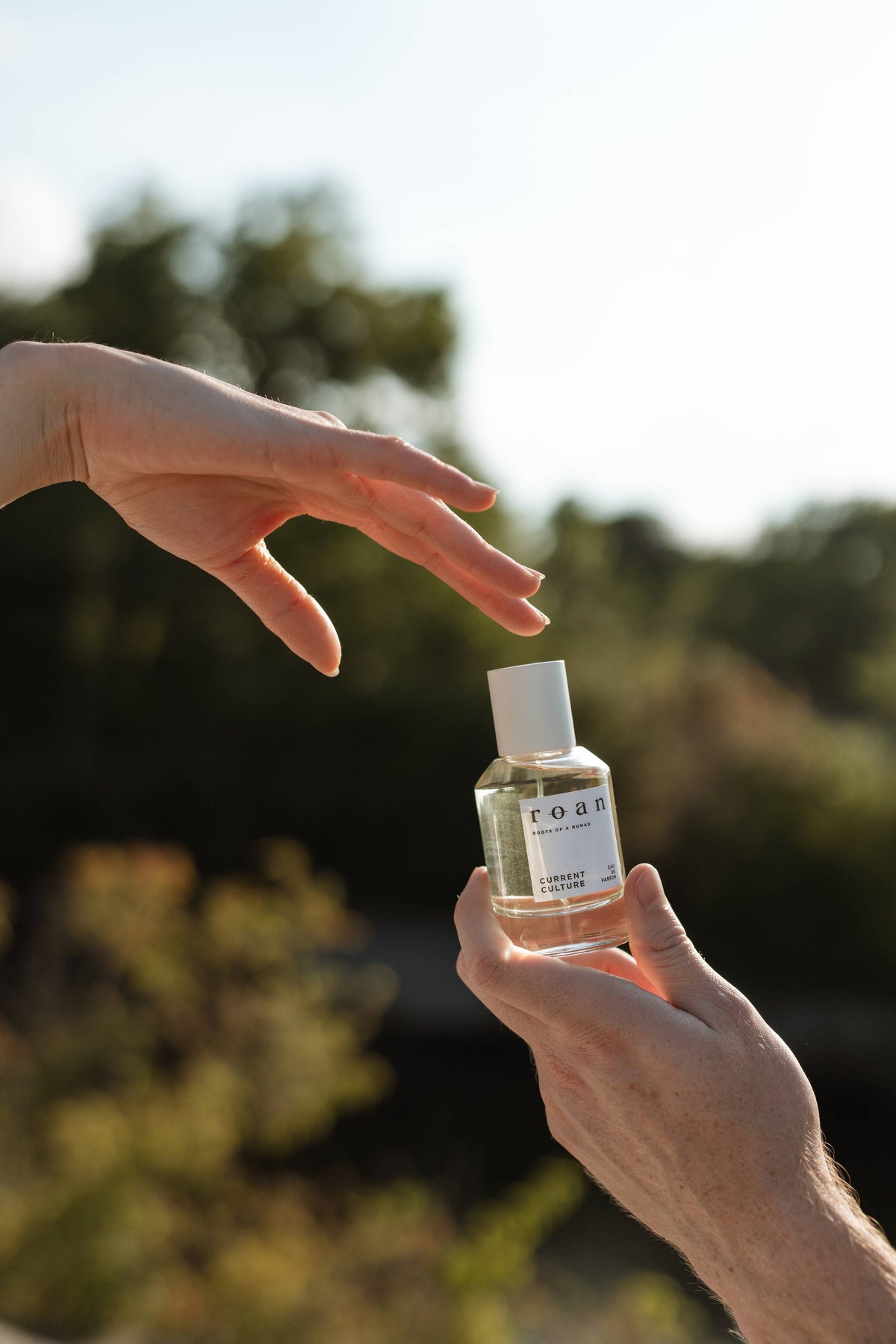 Current Culture Eaux de Parfum 50ml - Roan Fragrances
