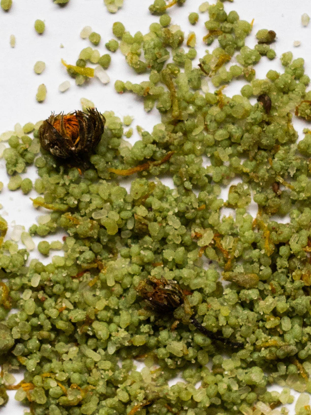 Merigold - Calendula & Clay Bath Soak