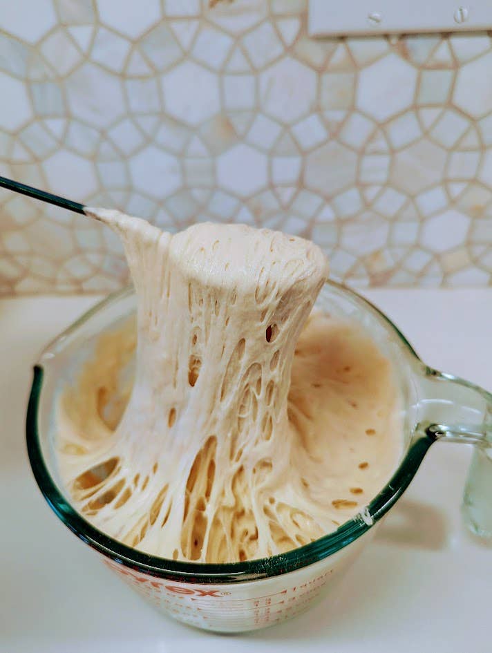 Organic Sour Dough Starter - My Rustic Roots