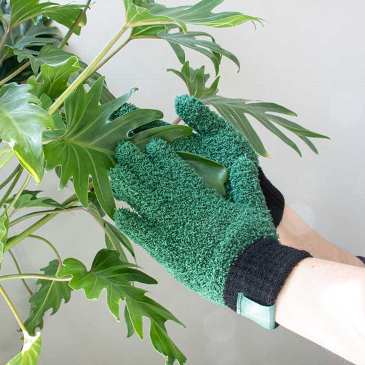 Leaf Love Gloves - Botanopia USA