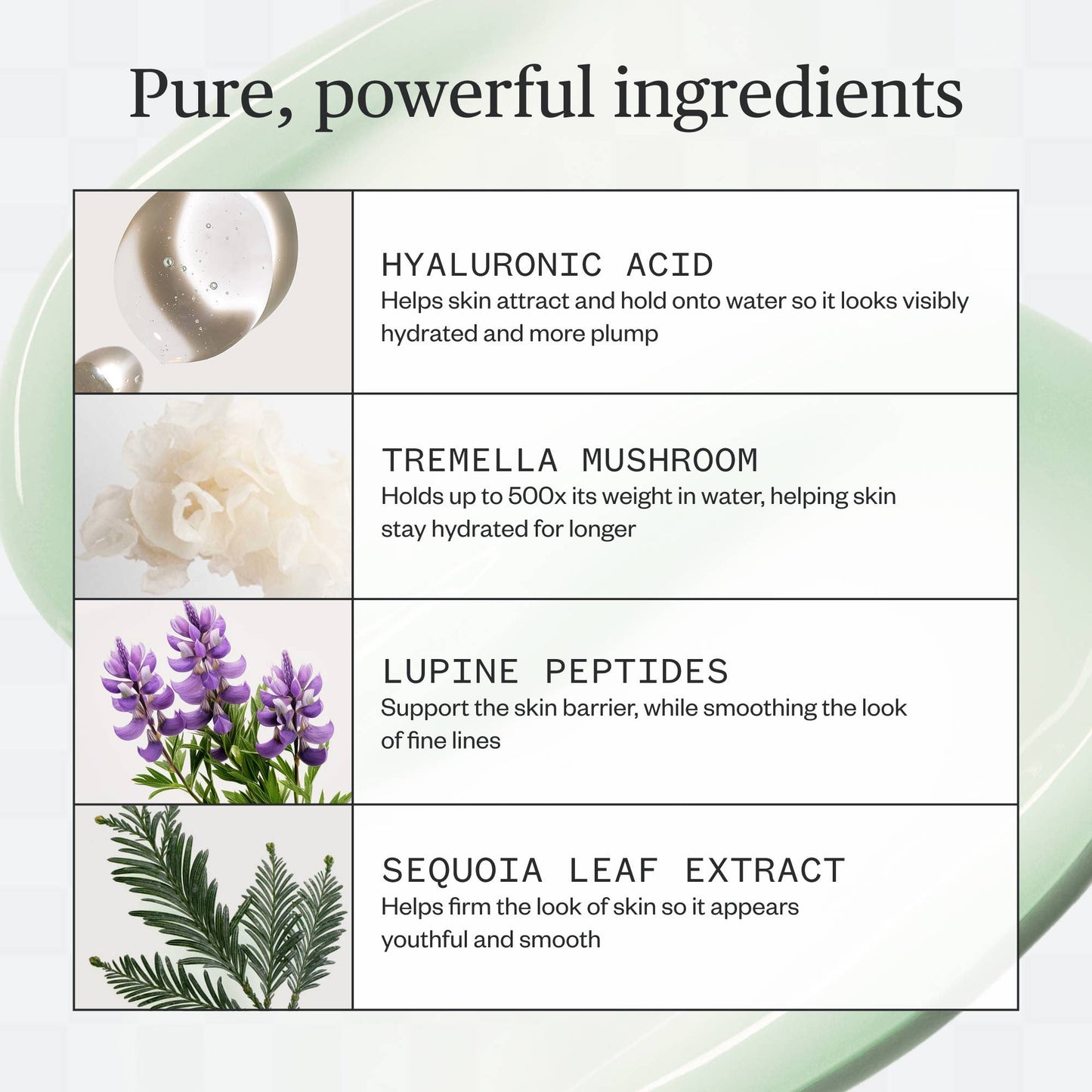 Ursa Major - Forest Water Hyaluronic Serum