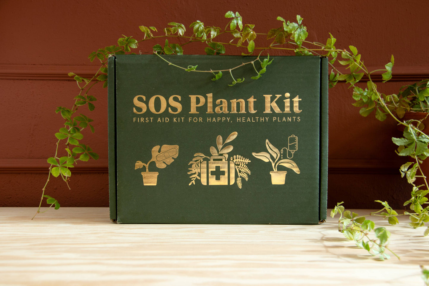 SOS Plant Kit - Saving Sick Plants, One Leaf at a Time