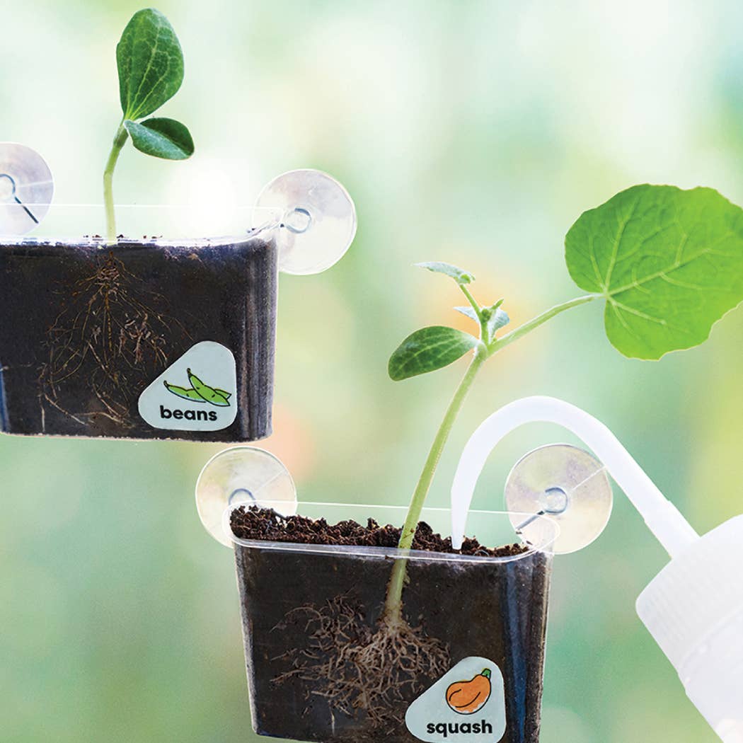 Window Garden DIY Growing Plant Kit for Kids - KiwiCo