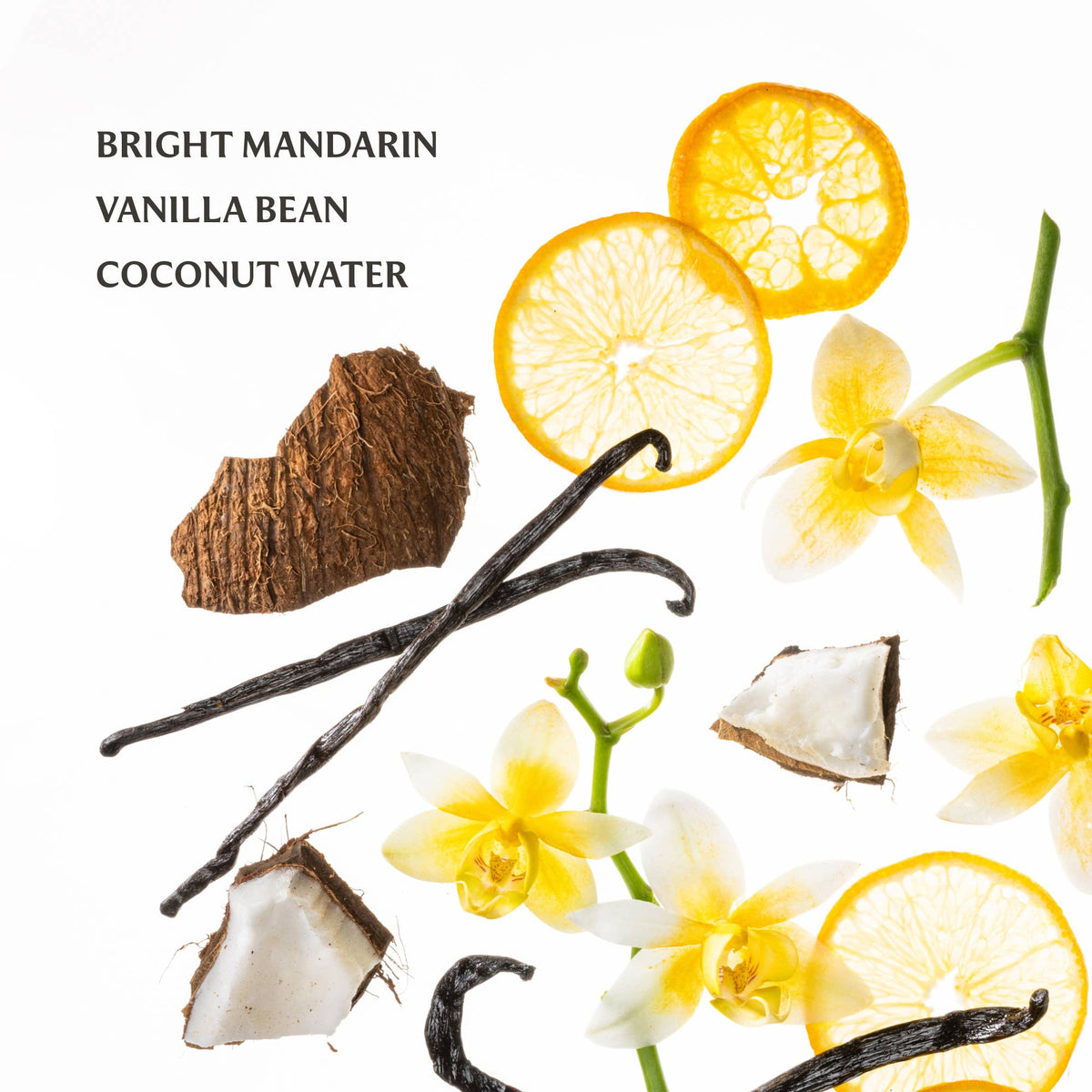 Vanilla Blossom Power Mist Hydrating Hand Sanitizer - Touchland