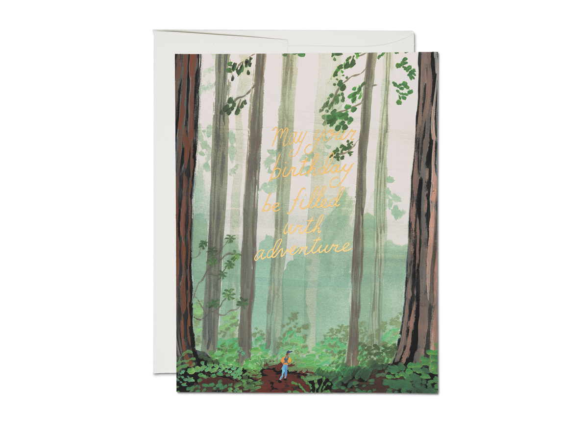 Birthday Adventure - Red Cap Cards