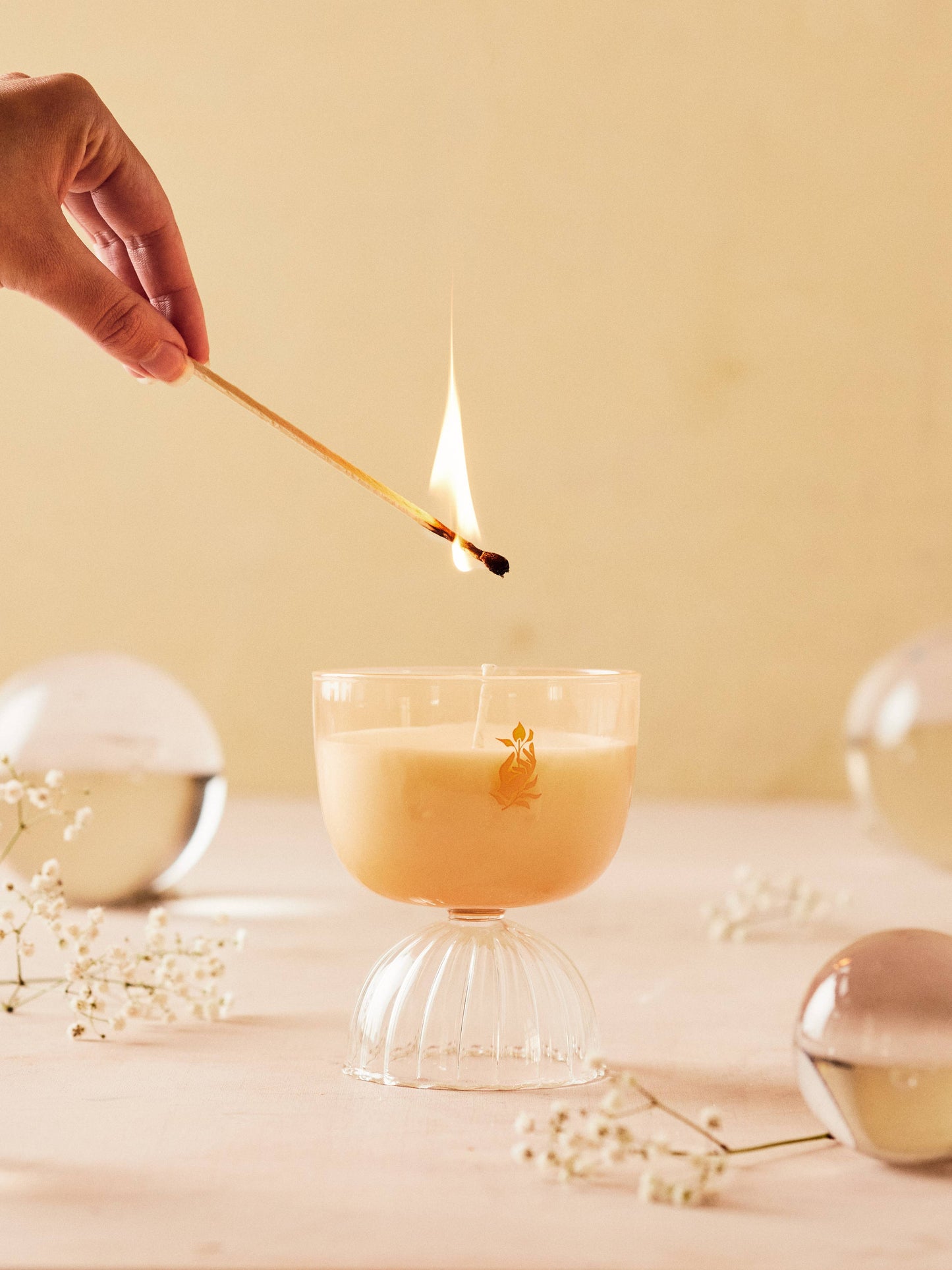 Coupe Rose' Candle 7 oz