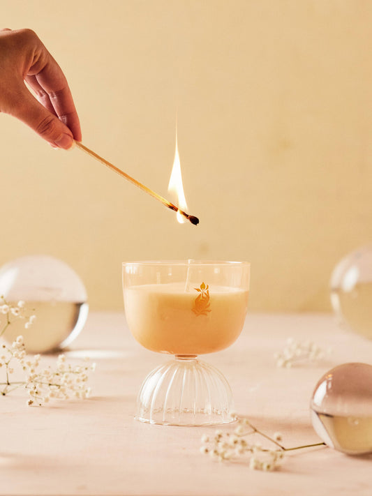 Coupe Rose' Candle 7 oz