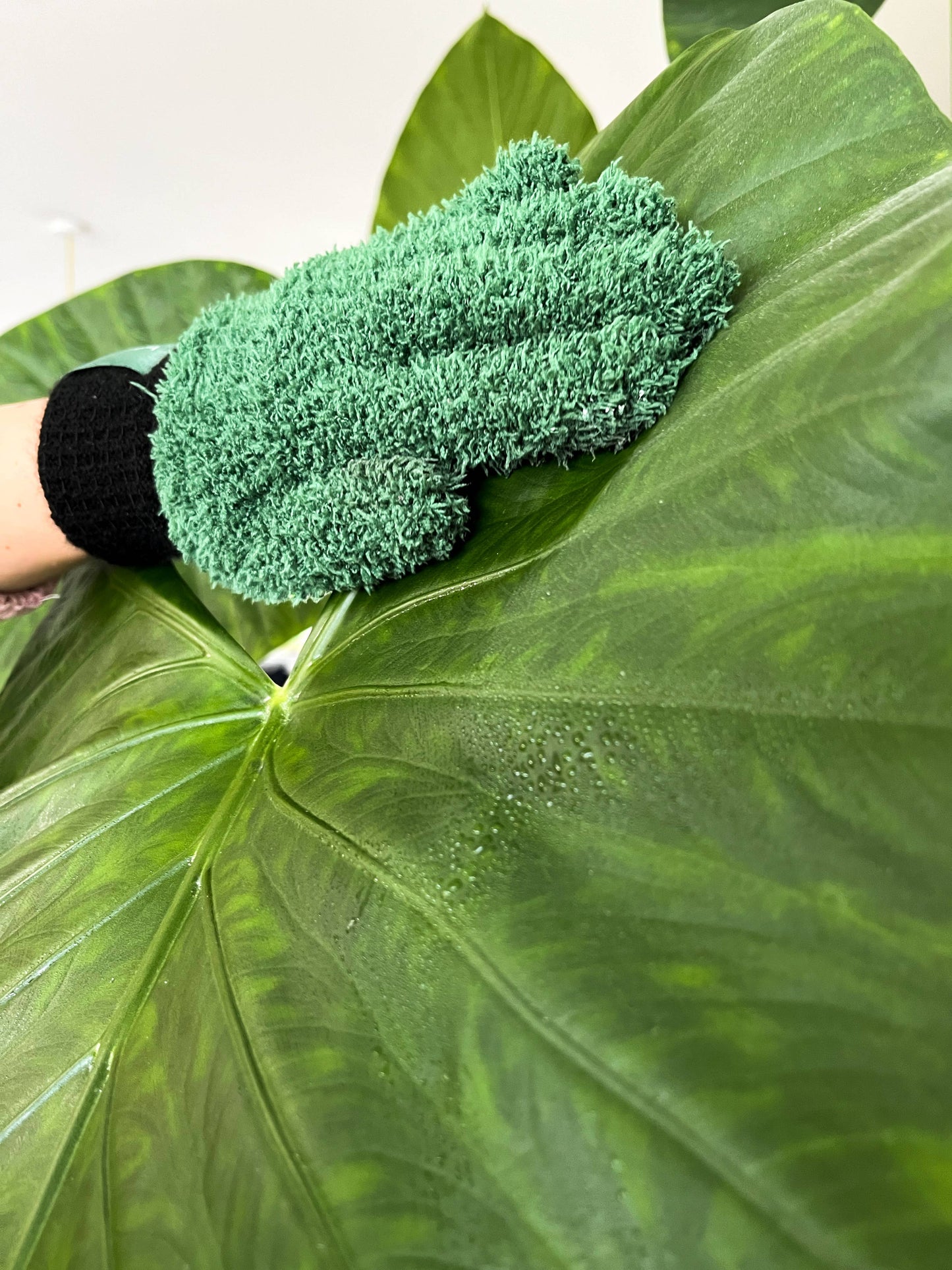 SOS Plant Kit - Saving Sick Plants, One Leaf at a Time