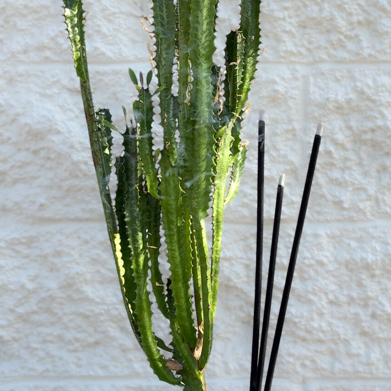 Outdoor/Jumbo Incense Sticks