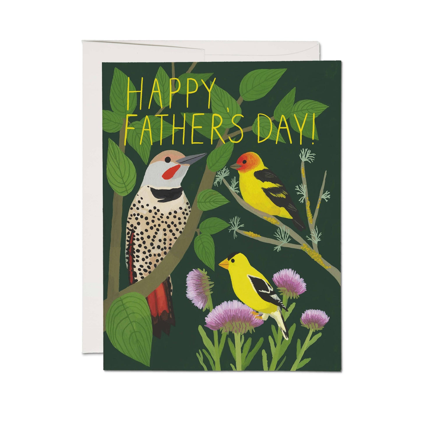 Bird Watching Card