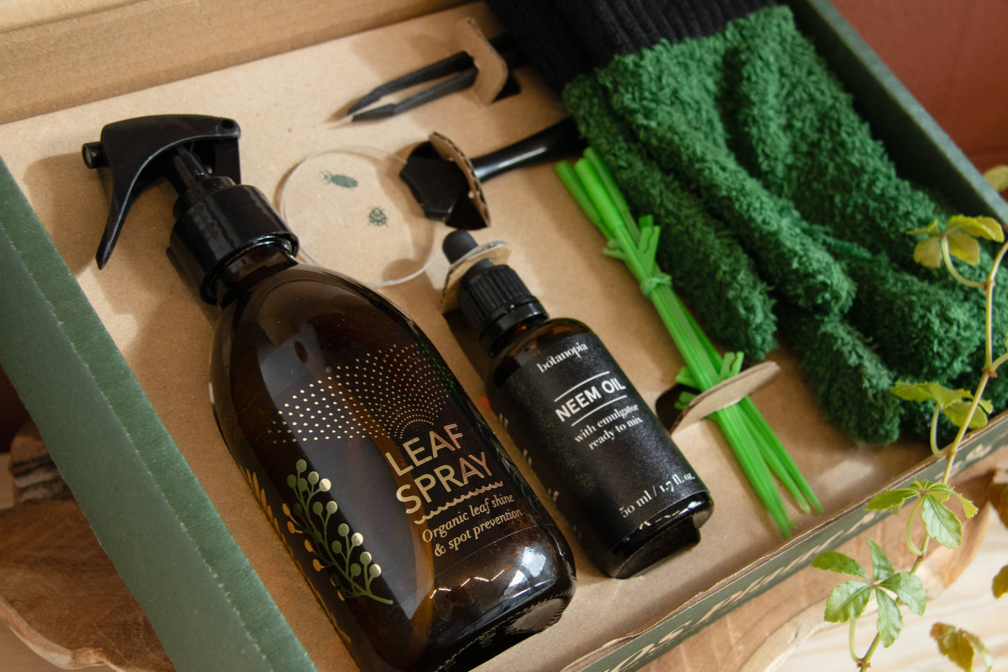 SOS Plant Kit - Saving Sick Plants, One Leaf at a Time