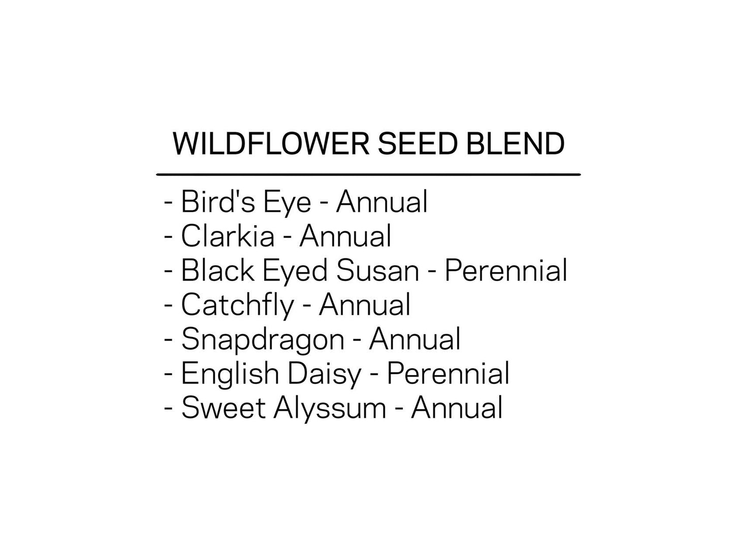 Wildflower Seed Confetti - Rainbow Studio 82°