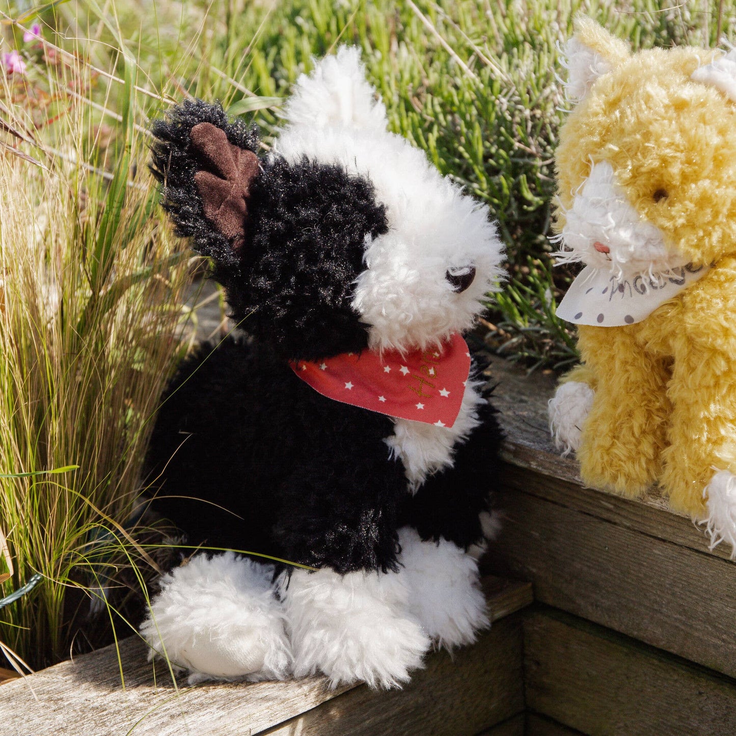 Pepper the Farm Dog - Bunnies By the Bay
