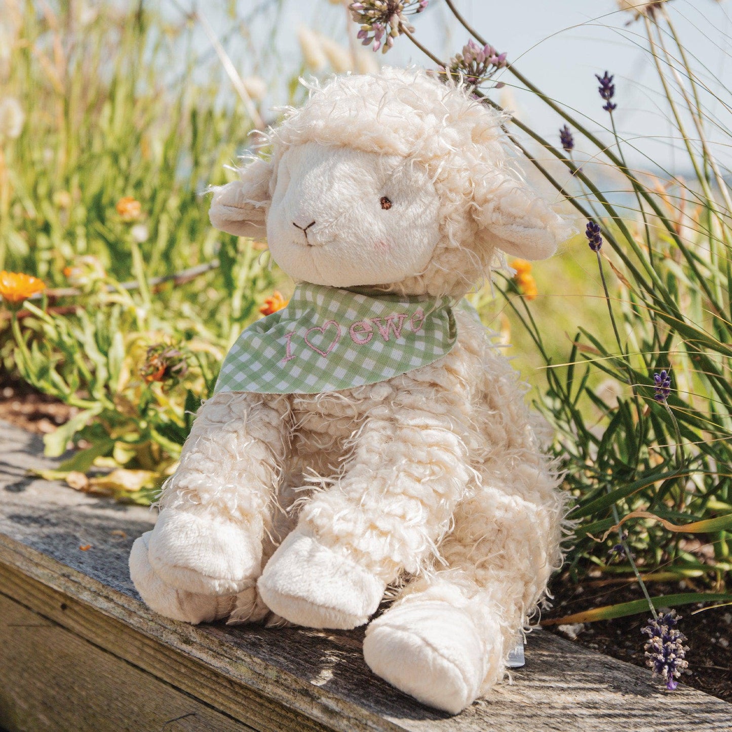 Shep the Sheep - Bunnies By the Bay