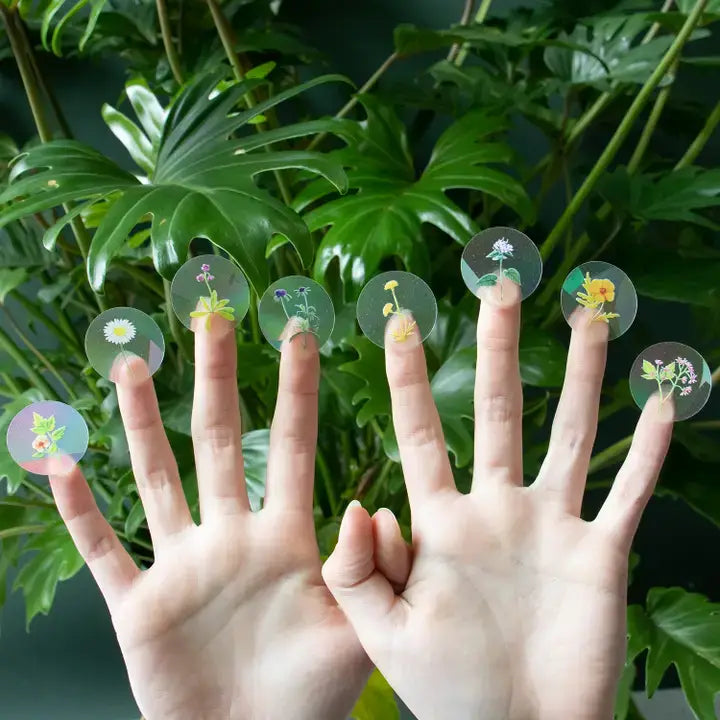 Rainbow maker sticker - Stay Wild (8 mini stickers)