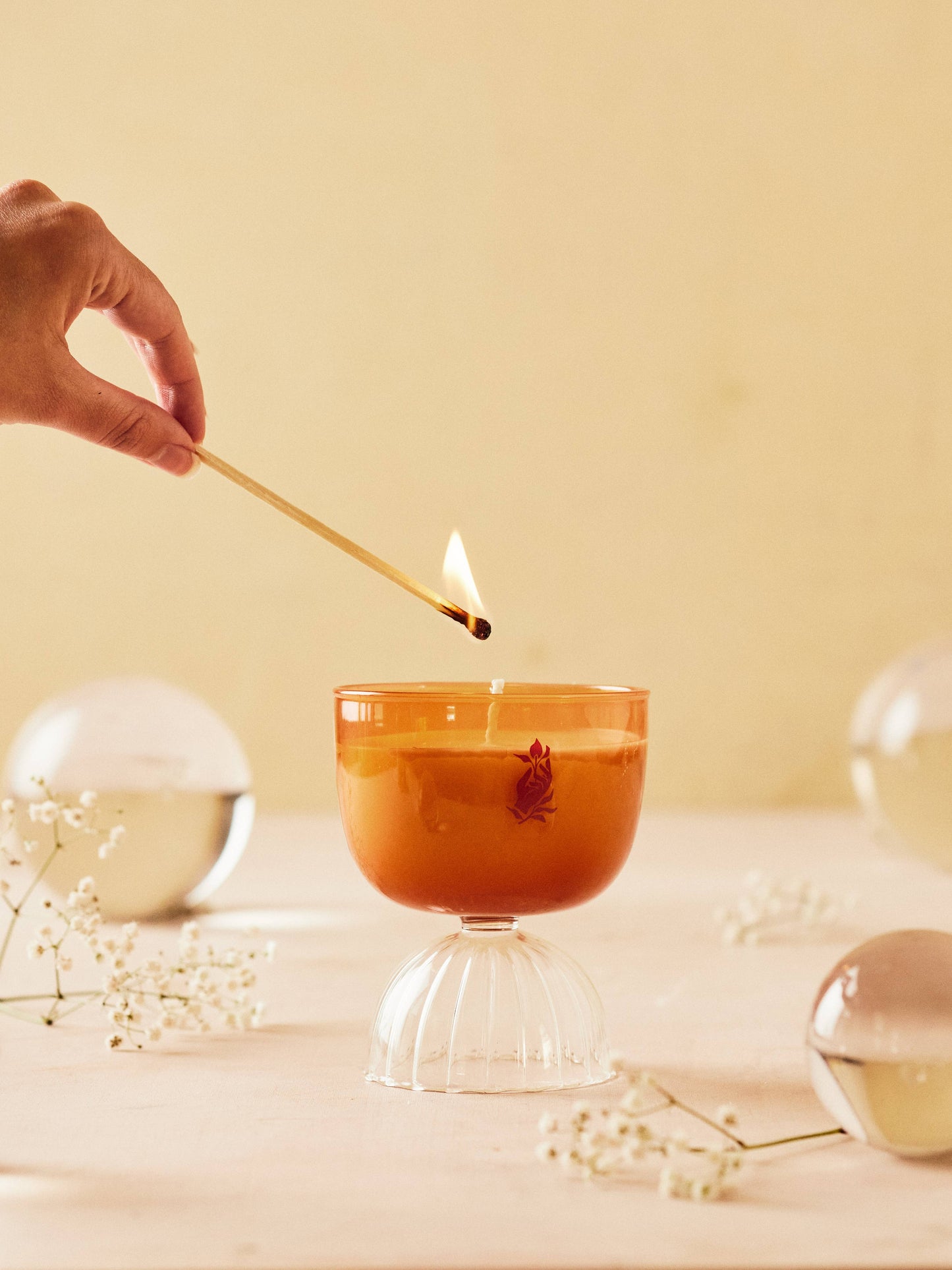 Coupe Mimosa Candle 7 oz