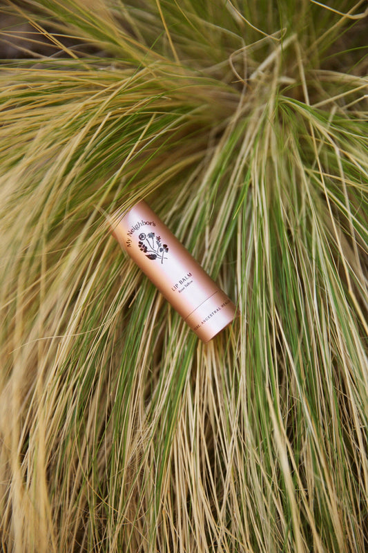 Rose Tallow Lip Balm (tinted)