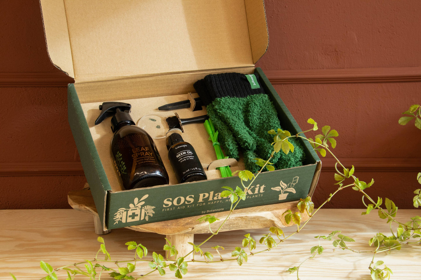 SOS Plant Kit - Saving Sick Plants, One Leaf at a Time