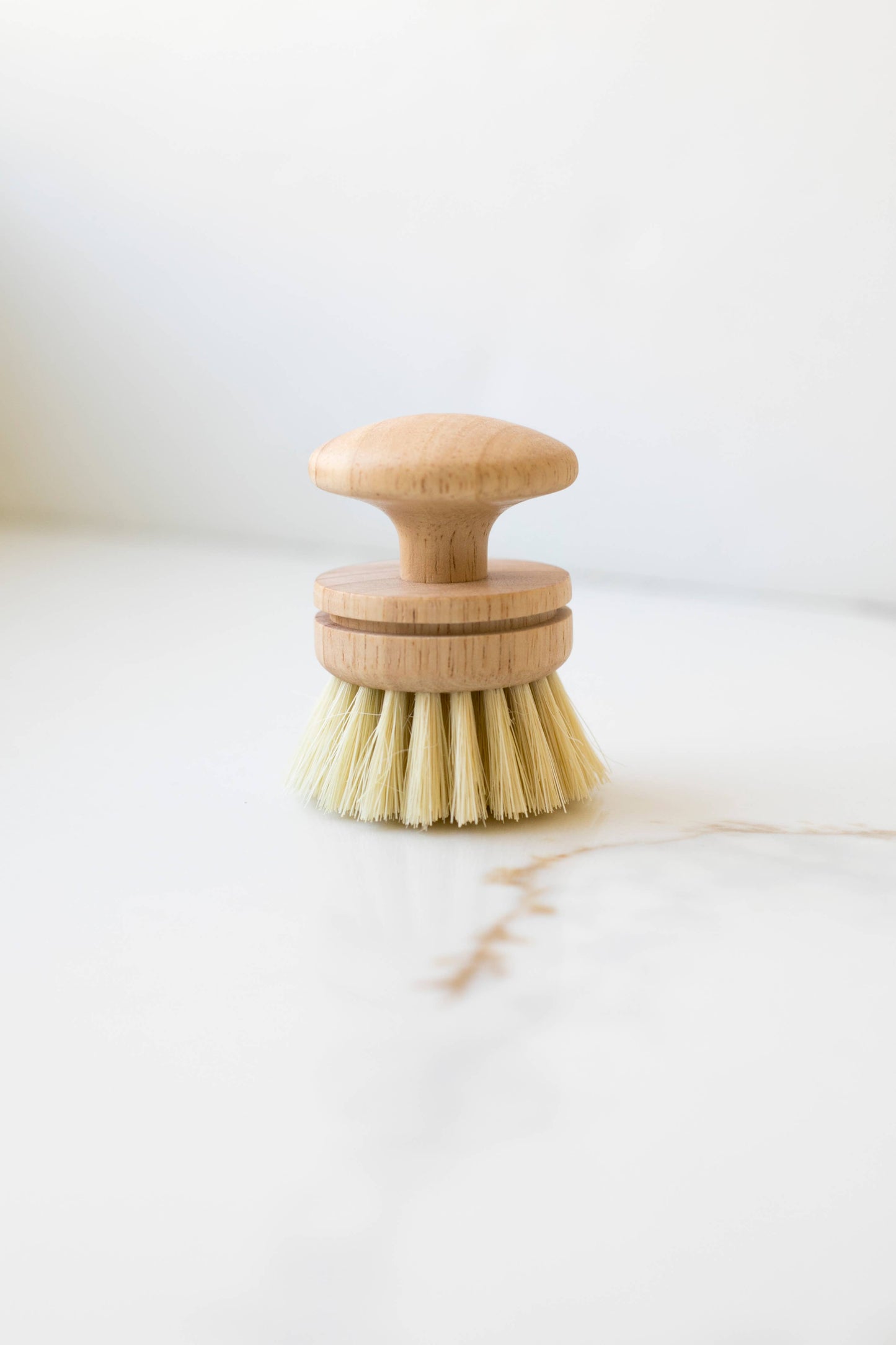 Wooden Dishwashing Brush