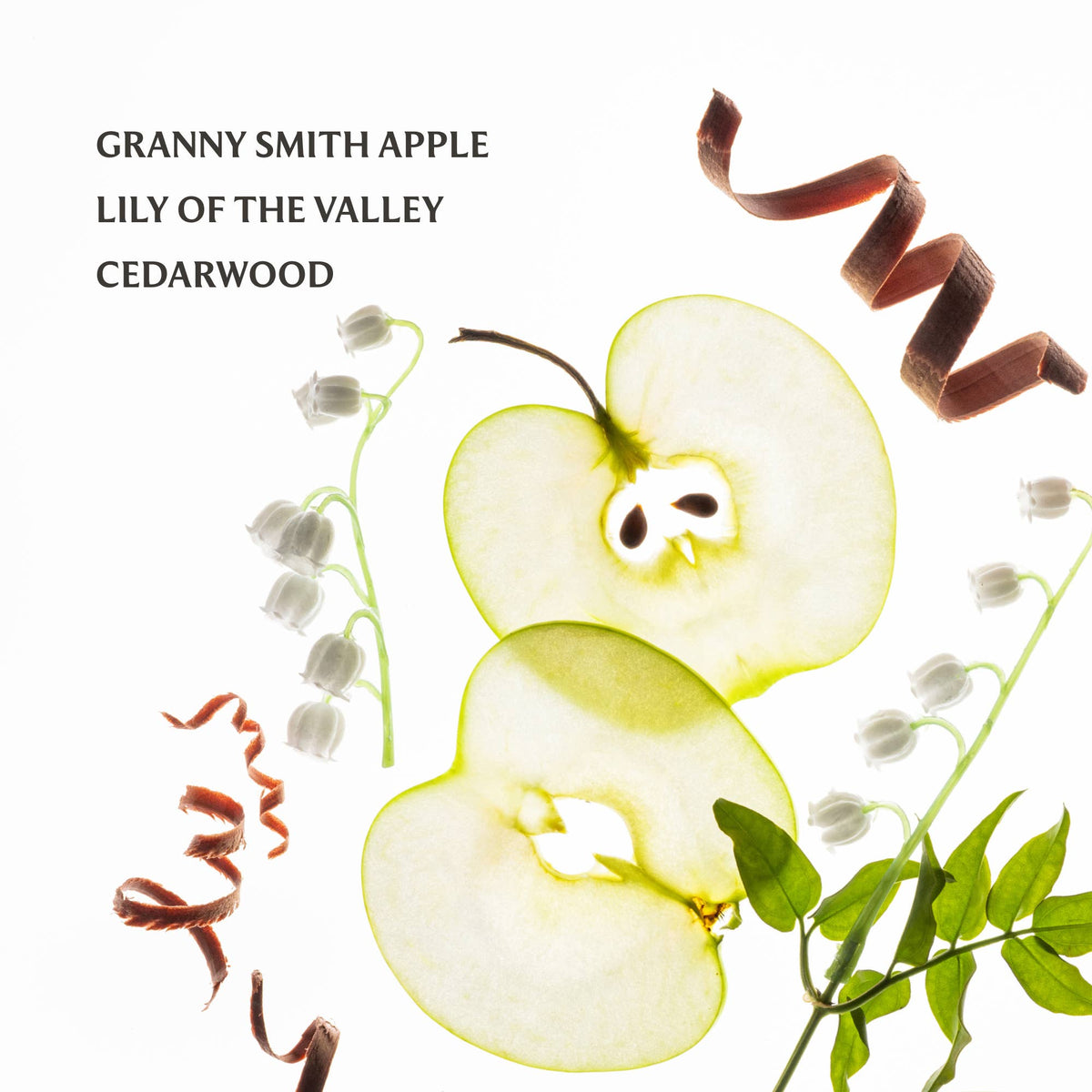 Applelicious Power Mist Hydrating Hand Sanitizer - Touchland
