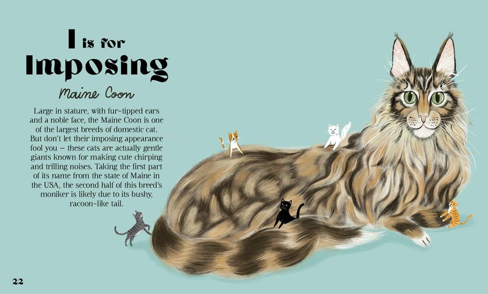 Catphabet : A Cat Alphabet