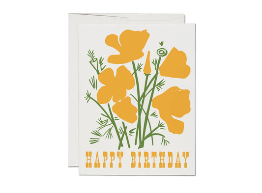 California Poppy - Red Cap Cards