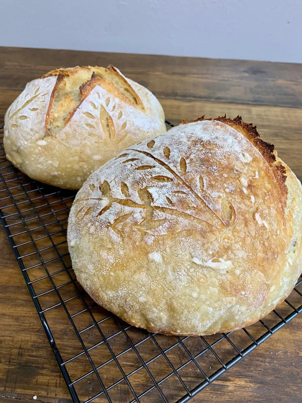 Organic Sour Dough Starter - My Rustic Roots