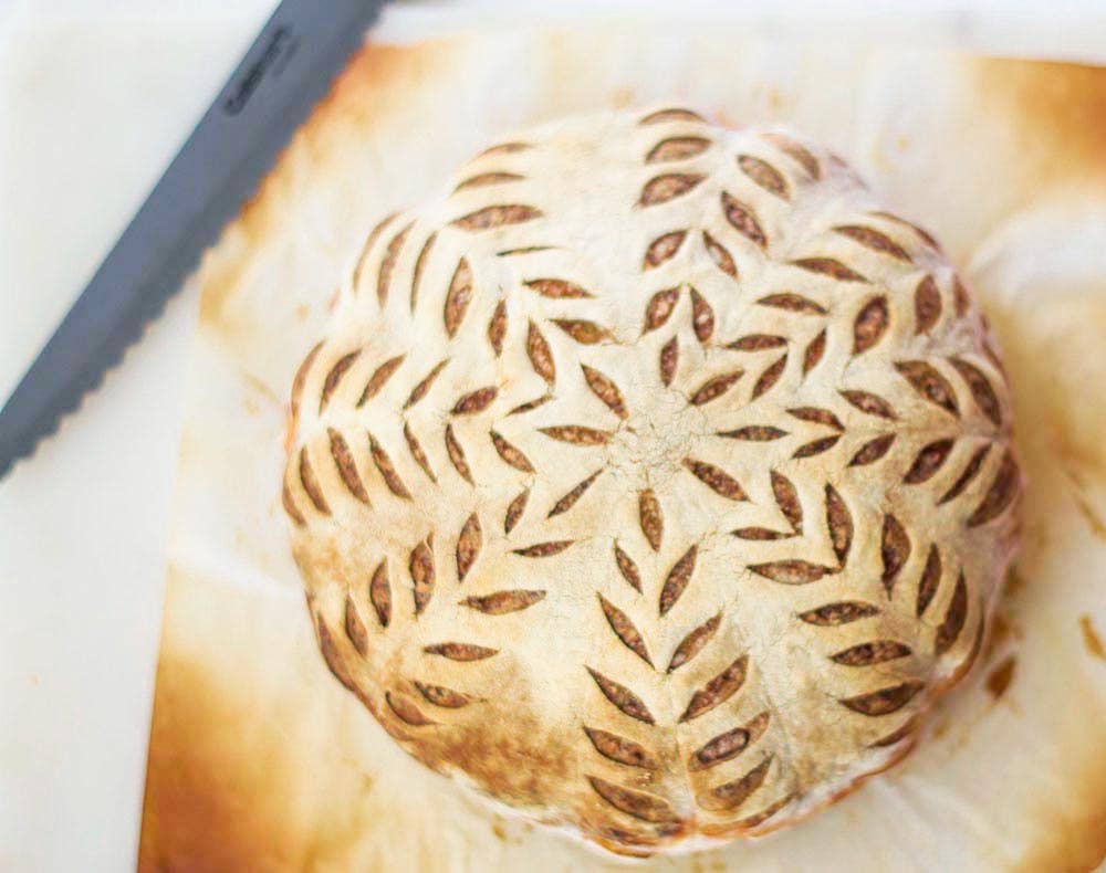 Organic Sour Dough Starter - My Rustic Roots