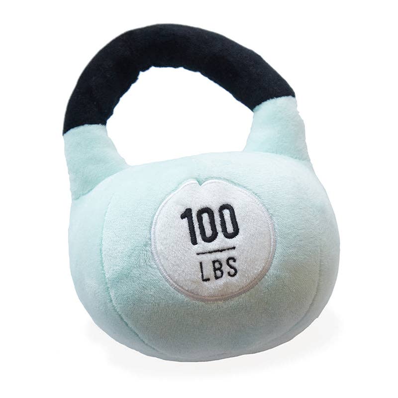 Little Lifter Plush Weights - Wonder & Wise by Asweets