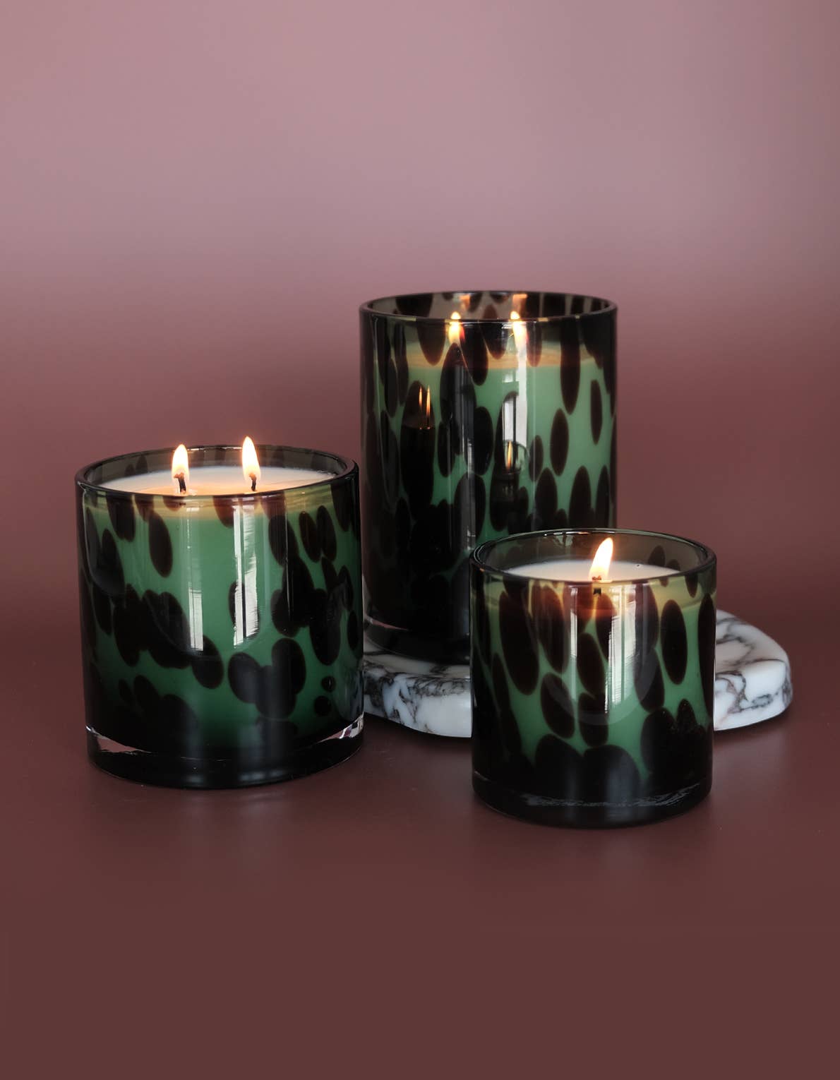 Fraser Fir Luxe Edition, Large