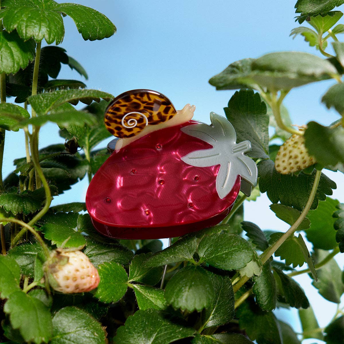 Strawberry Claw - Red Fruit Claw with Tortoise Acetate Snail