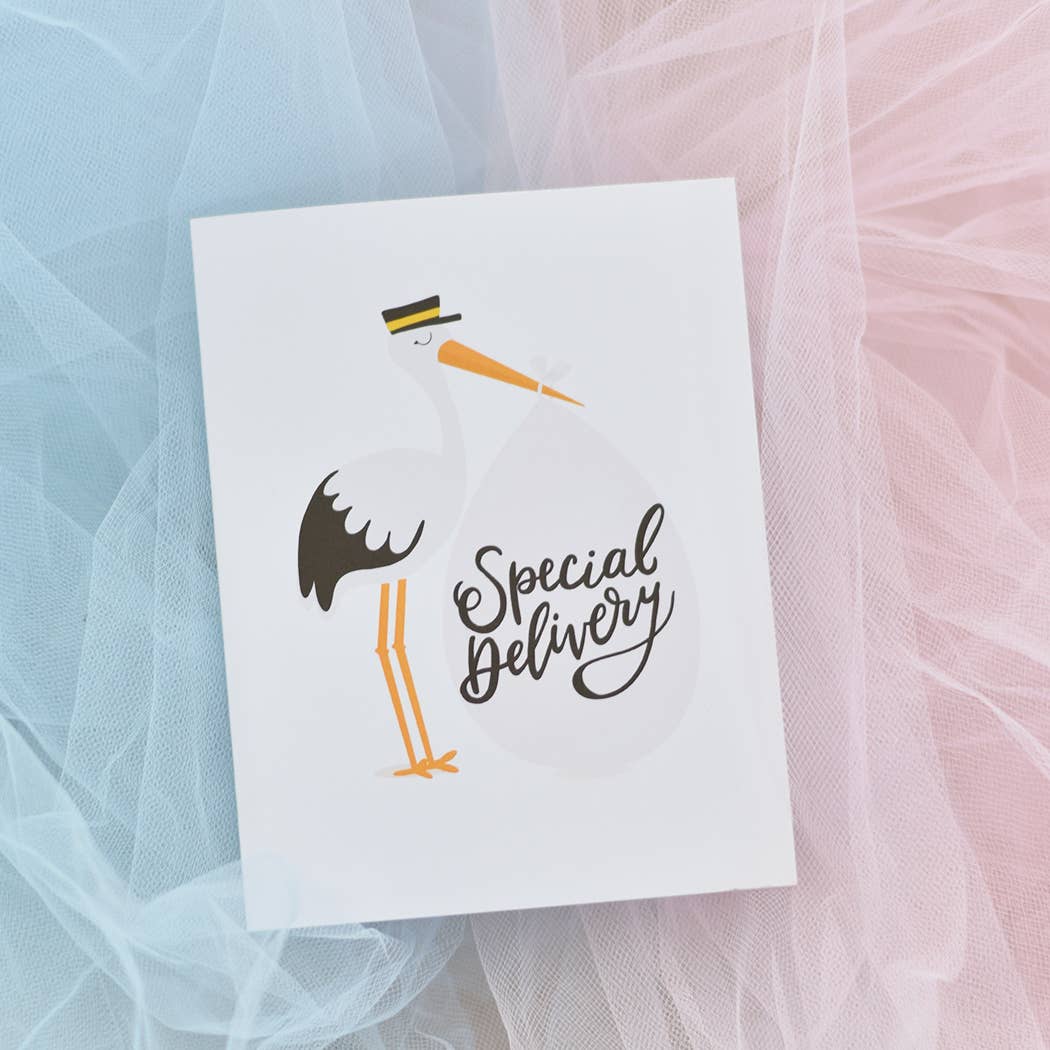 Stork Baby Newborn Congrats Greeting Card