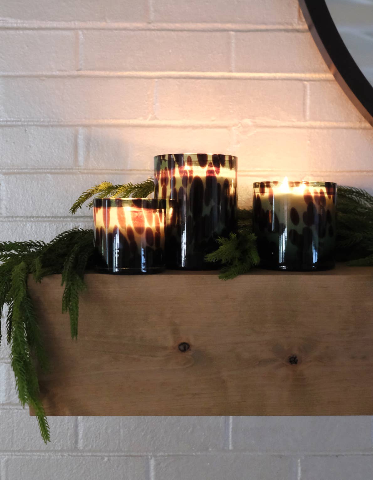 Fraser Fir Luxe Edition, Large