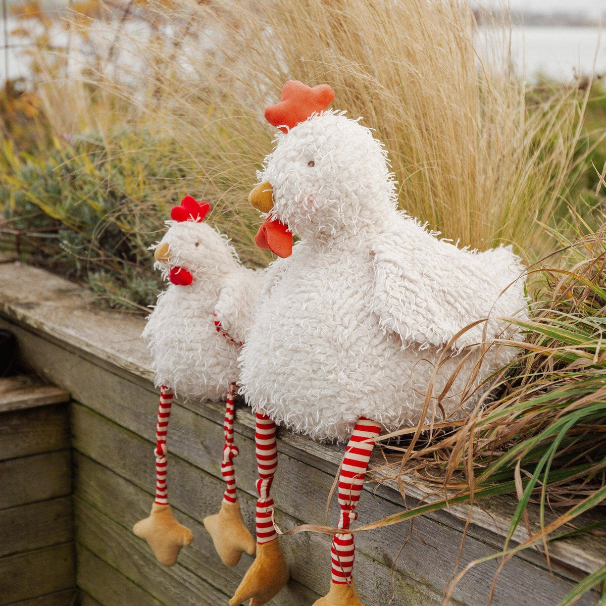 Big Clucky the Chicken - Bunnies By the Bay