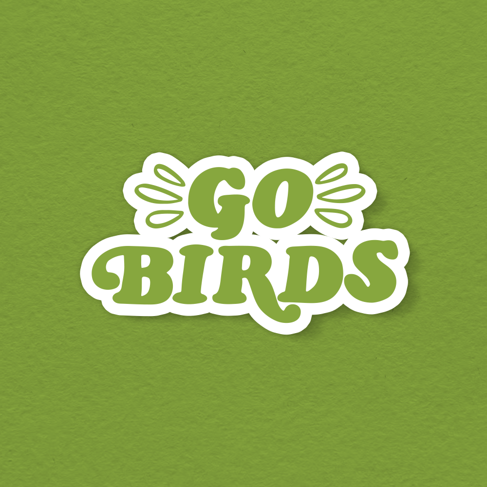 Go Birds Philadelphia Eagles Football Philly Vinyl Sticker