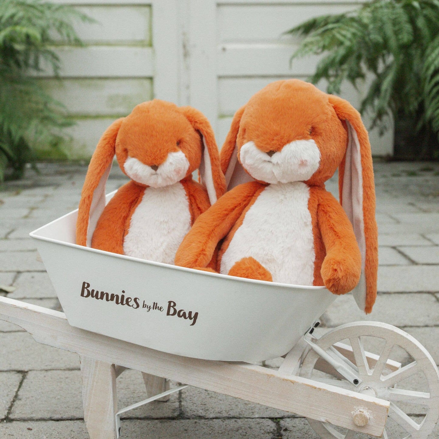 Carrot Nibble Bunny - Carrot Bunnies By the Bay