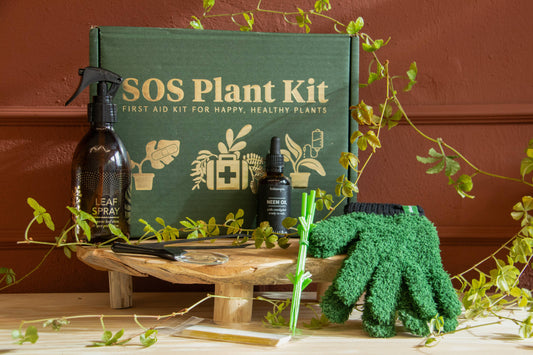 SOS Plant Kit - Saving Sick Plants, One Leaf at a Time
