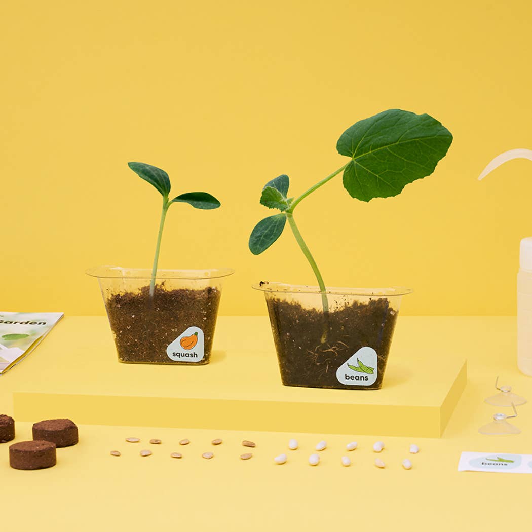 Window Garden DIY Growing Plant Kit for Kids - KiwiCo