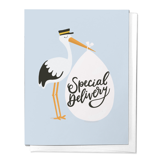 Stork Baby Newborn Congrats Greeting Card