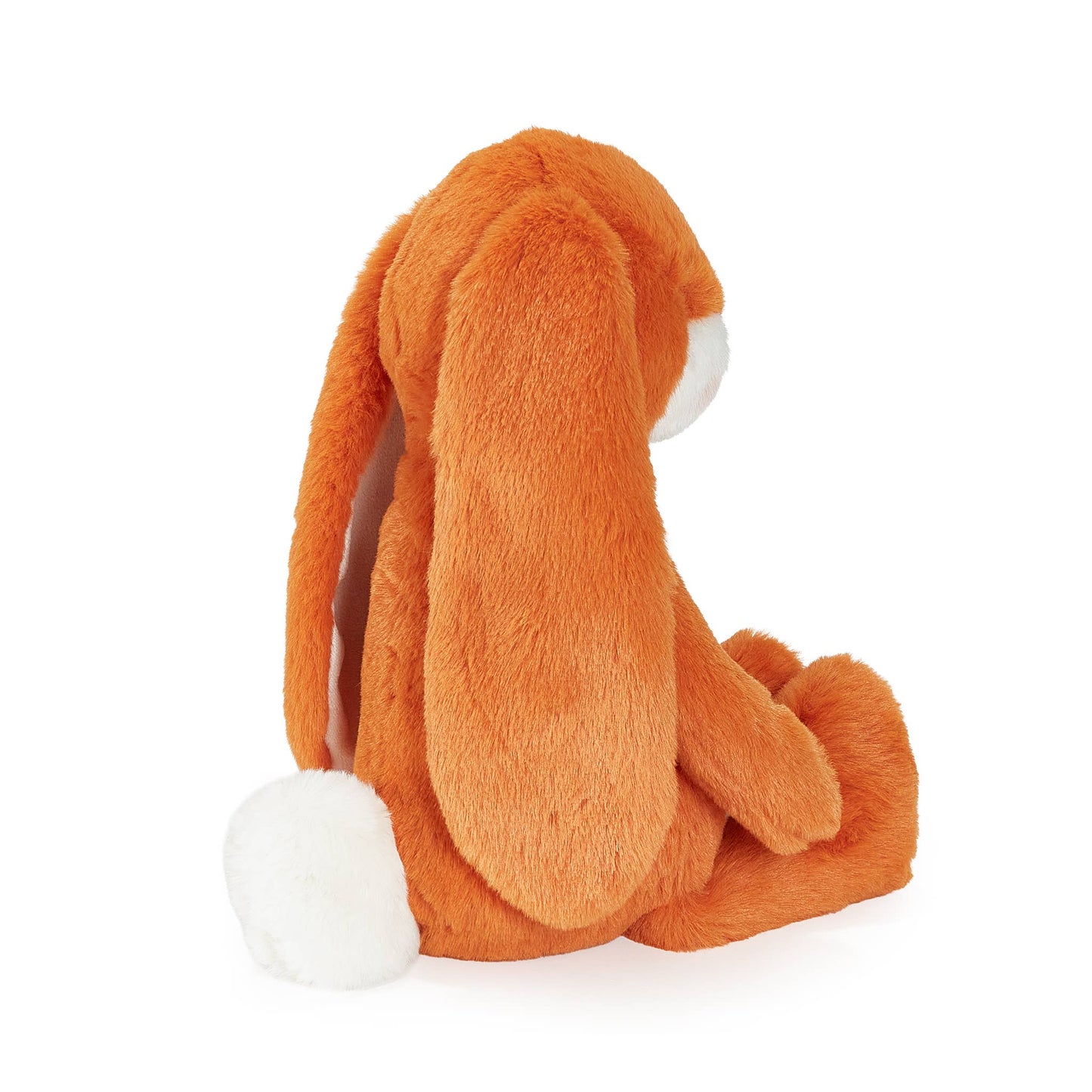 Carrot Nibble Bunny - Carrot Bunnies By the Bay