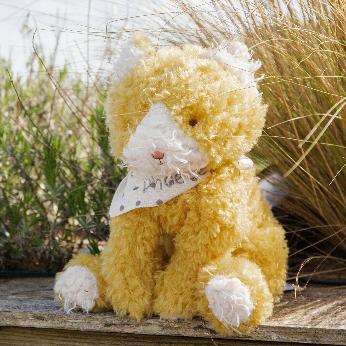 Alley Cat - Bunnies By the Bay