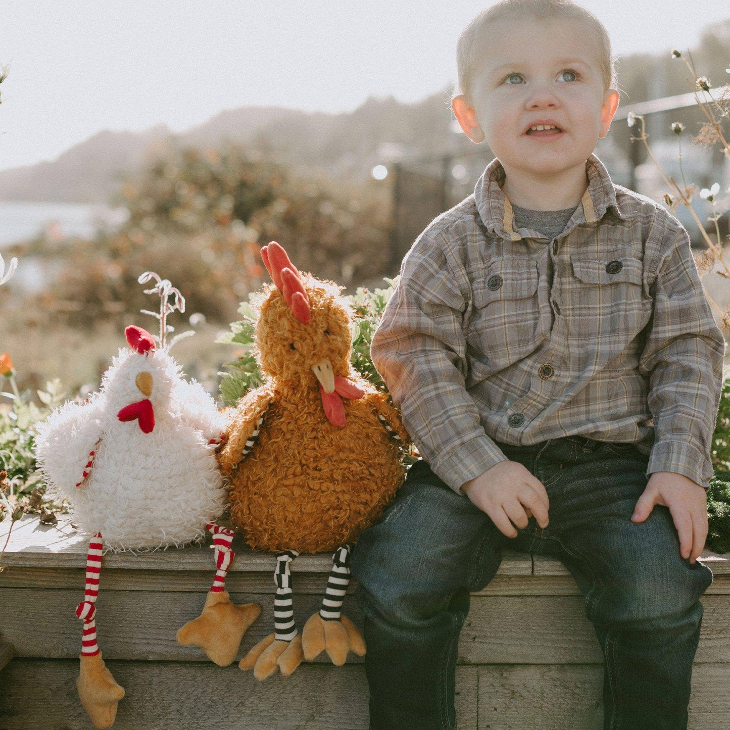 Randy The Rooster - Bunnies By the Bay