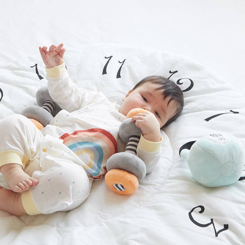 Little Lifter Plush Weights - Wonder & Wise by Asweets