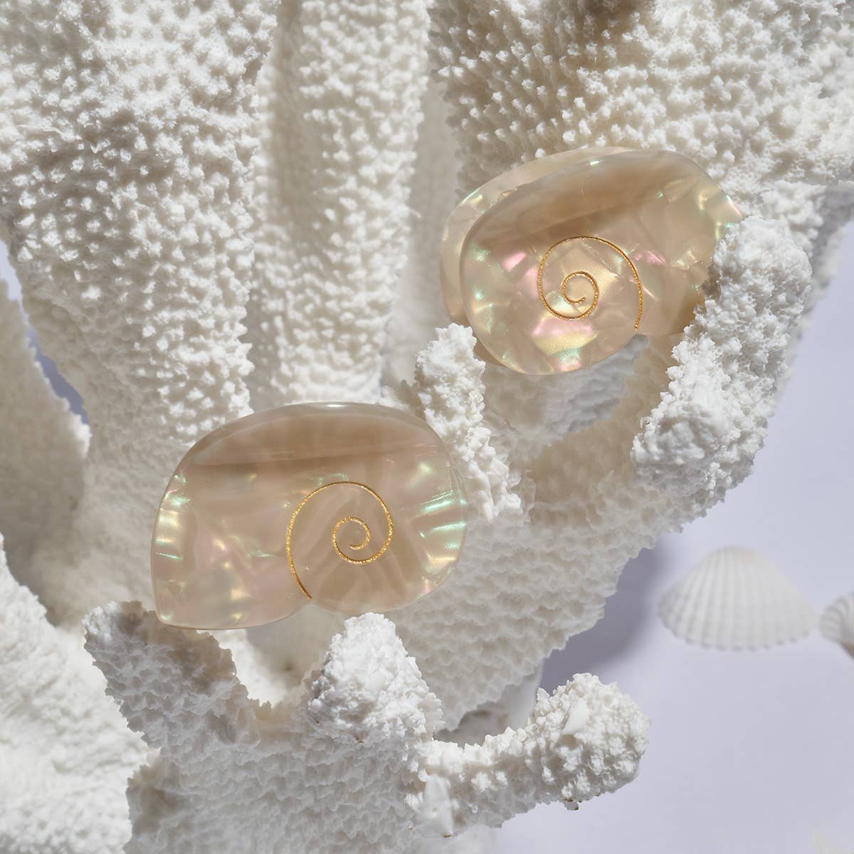 Shell Claw - Sea Shell Acetate Mermaid Hair Clip