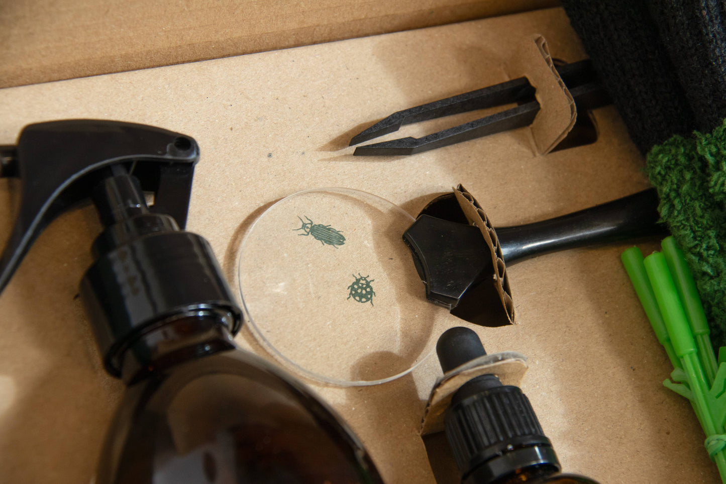 SOS Plant Kit - Saving Sick Plants, One Leaf at a Time