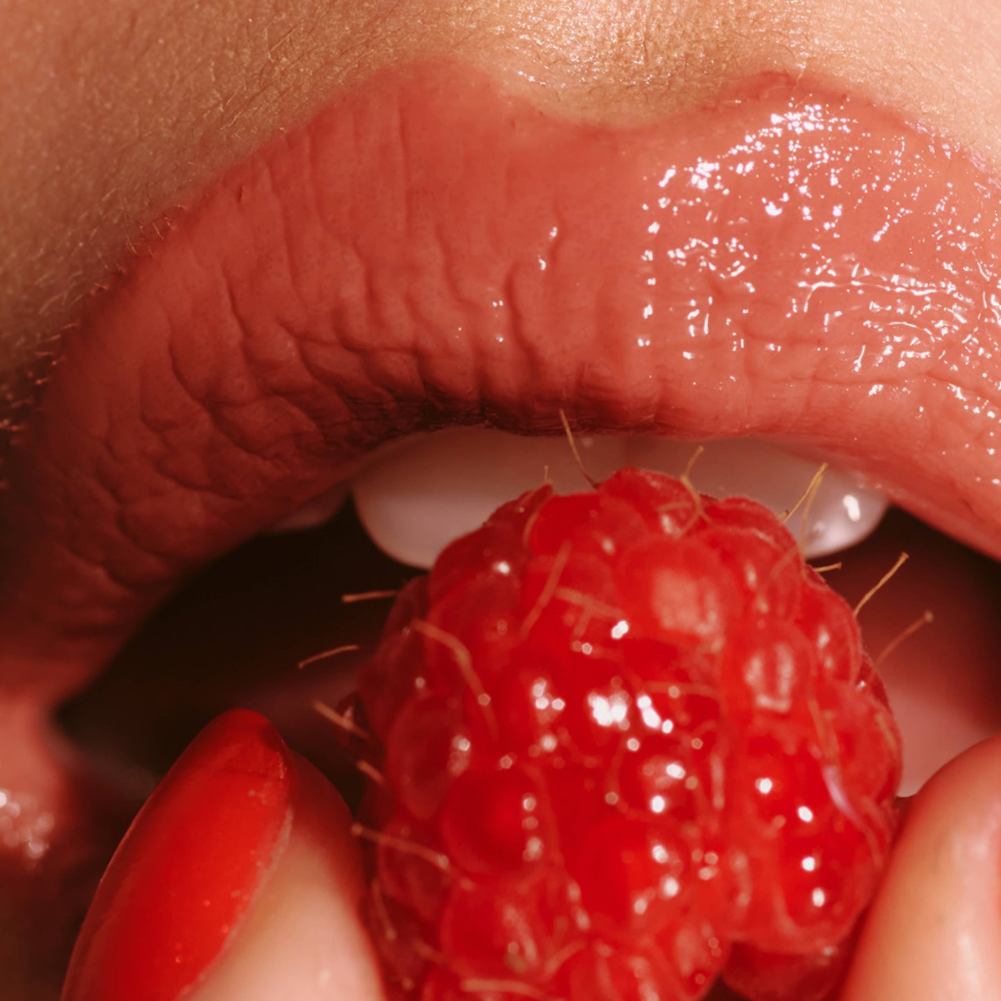 Ripe Berry - Lip Sun Gloss SPF 30